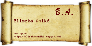 Bliszka Anikó névjegykártya